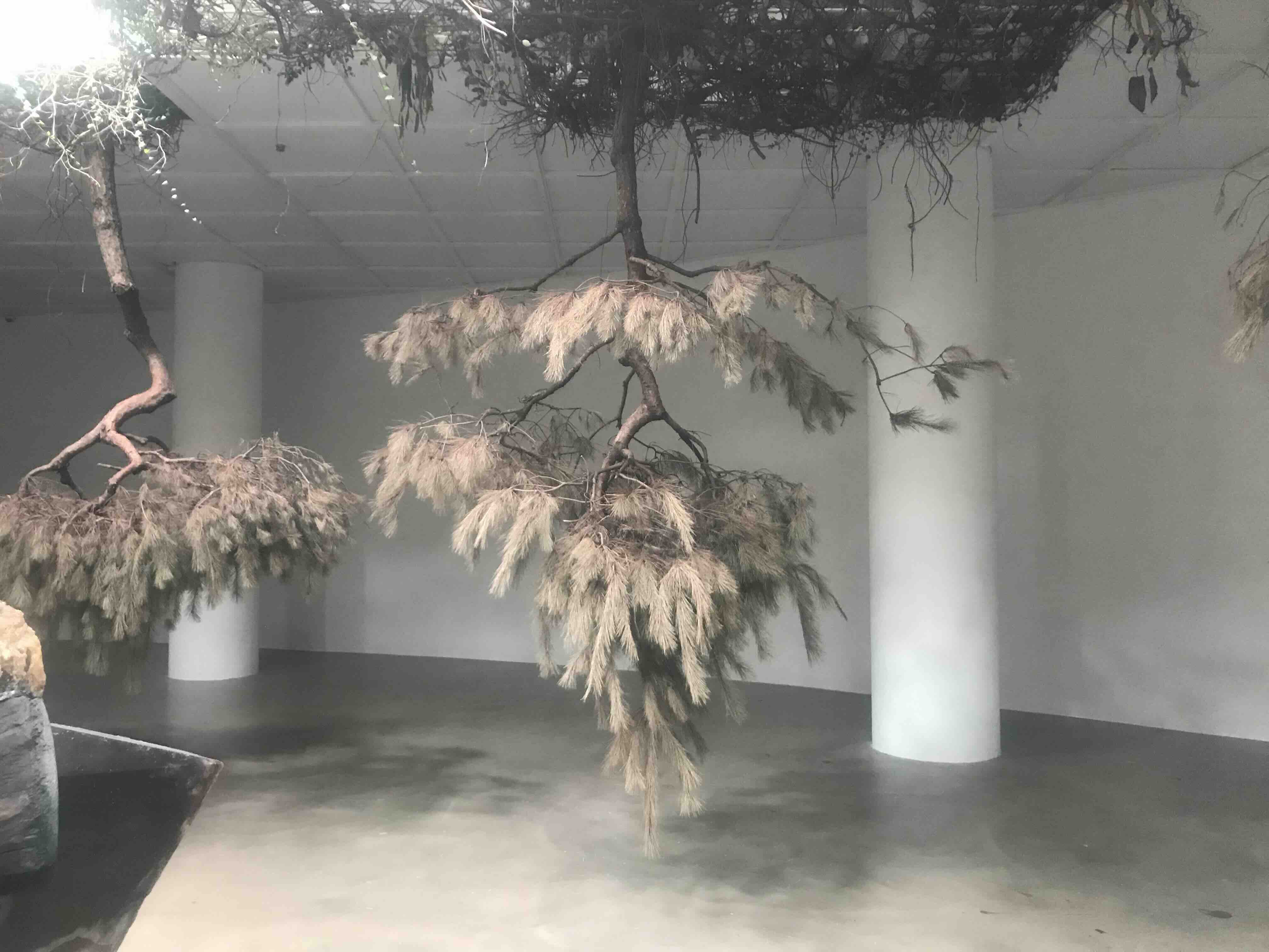 adrian villar rojas : the language of the enemy