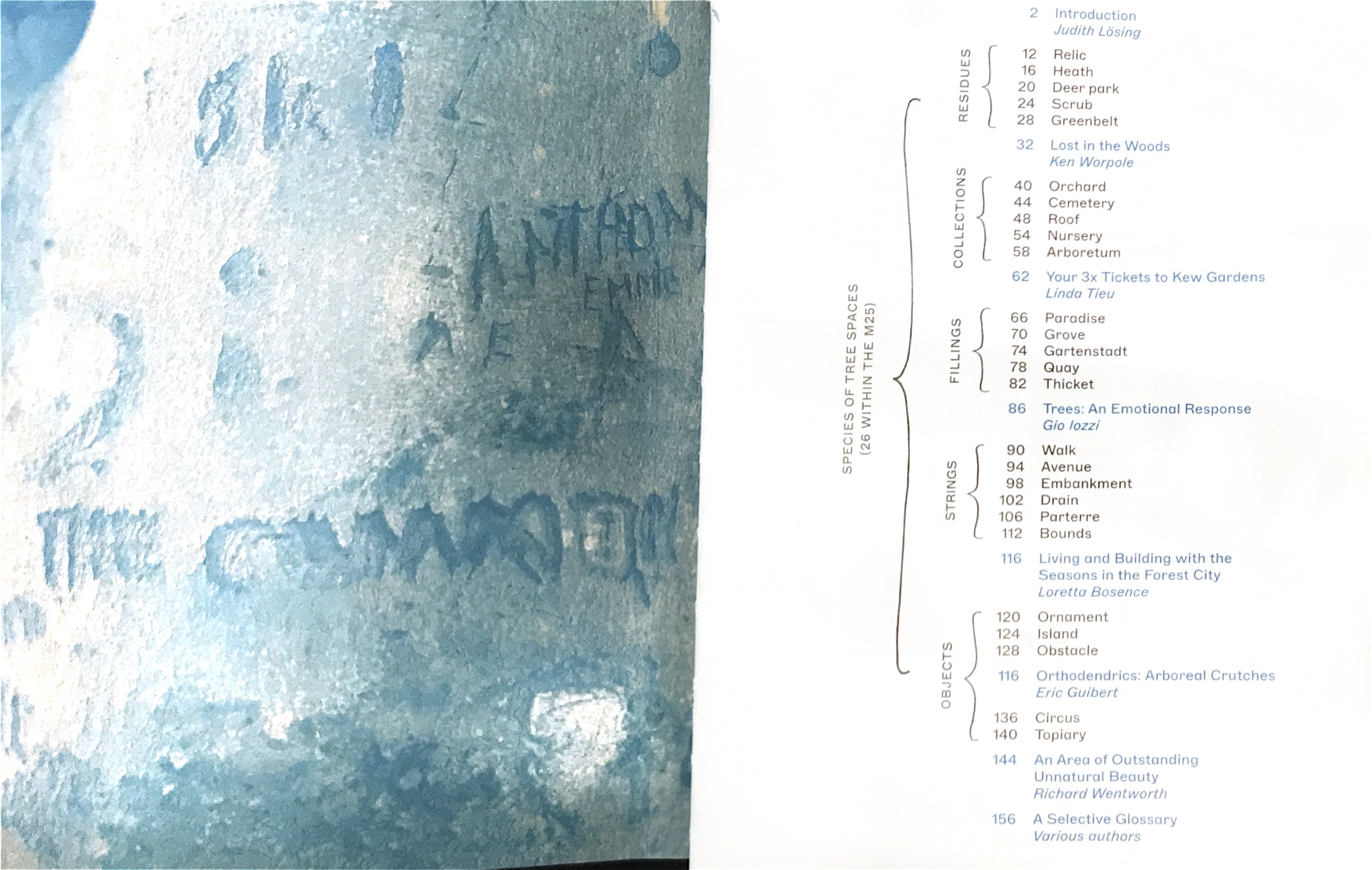 riciprocal landscape