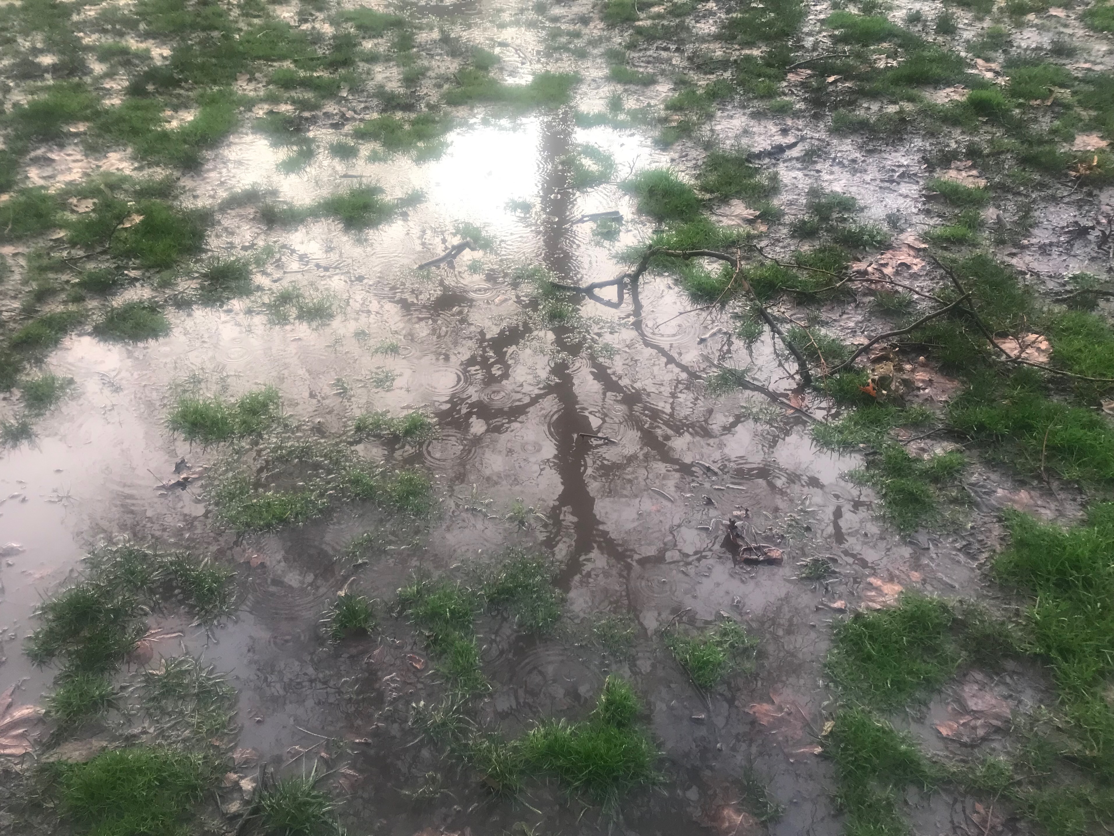 russell square puddle