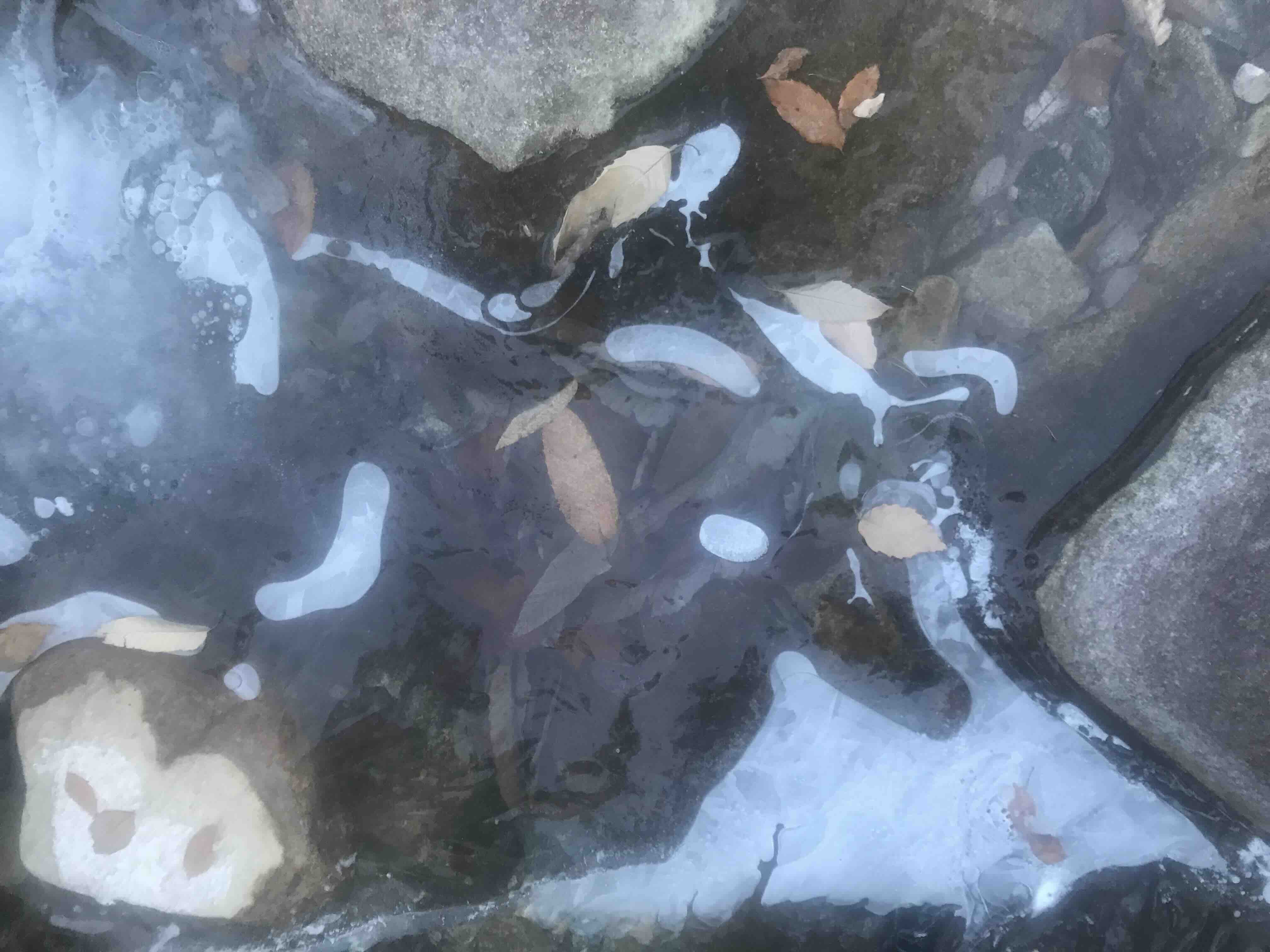 두타산 계곡에서...